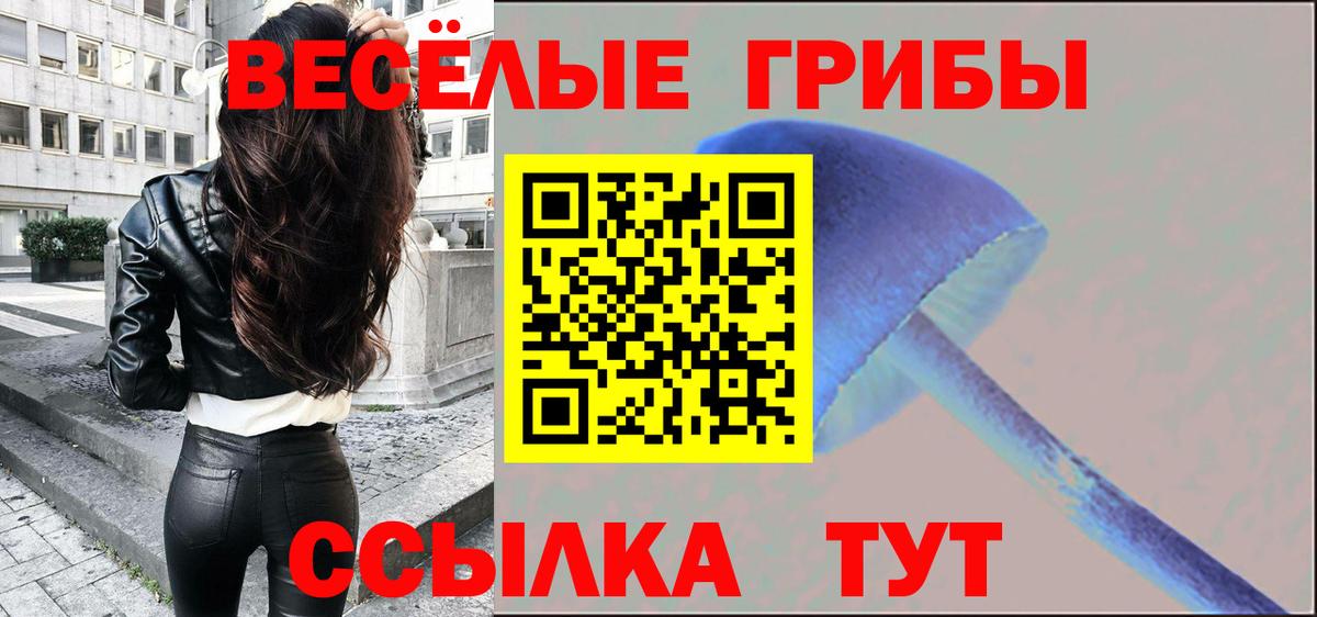 Псилоцибиновые грибы Psilocybe  сколько стоит  Заводоуковск  Вход с VPN  Галлюциногенные грибы ЛСД 